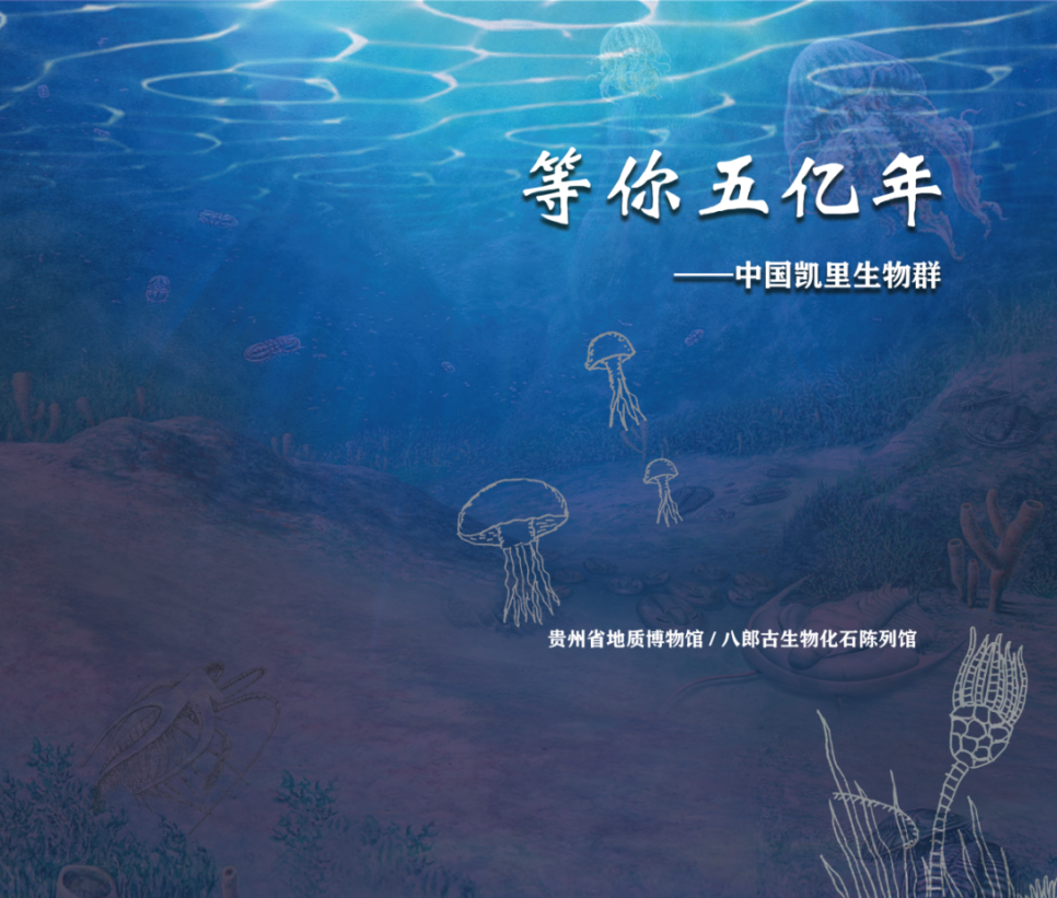 等你五亿年——中国凯里生物群